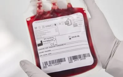 Da veia à bolsa: por que a escolha da bolsa de sangue importa mais do que você imagina