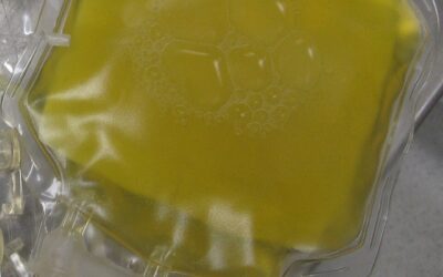 Plasma descongelado por até 5 dias: o que muda com a Portaria GM/MS nº 11.685/2026?